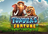 Tundra’s Fortune
