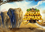 African Elephant